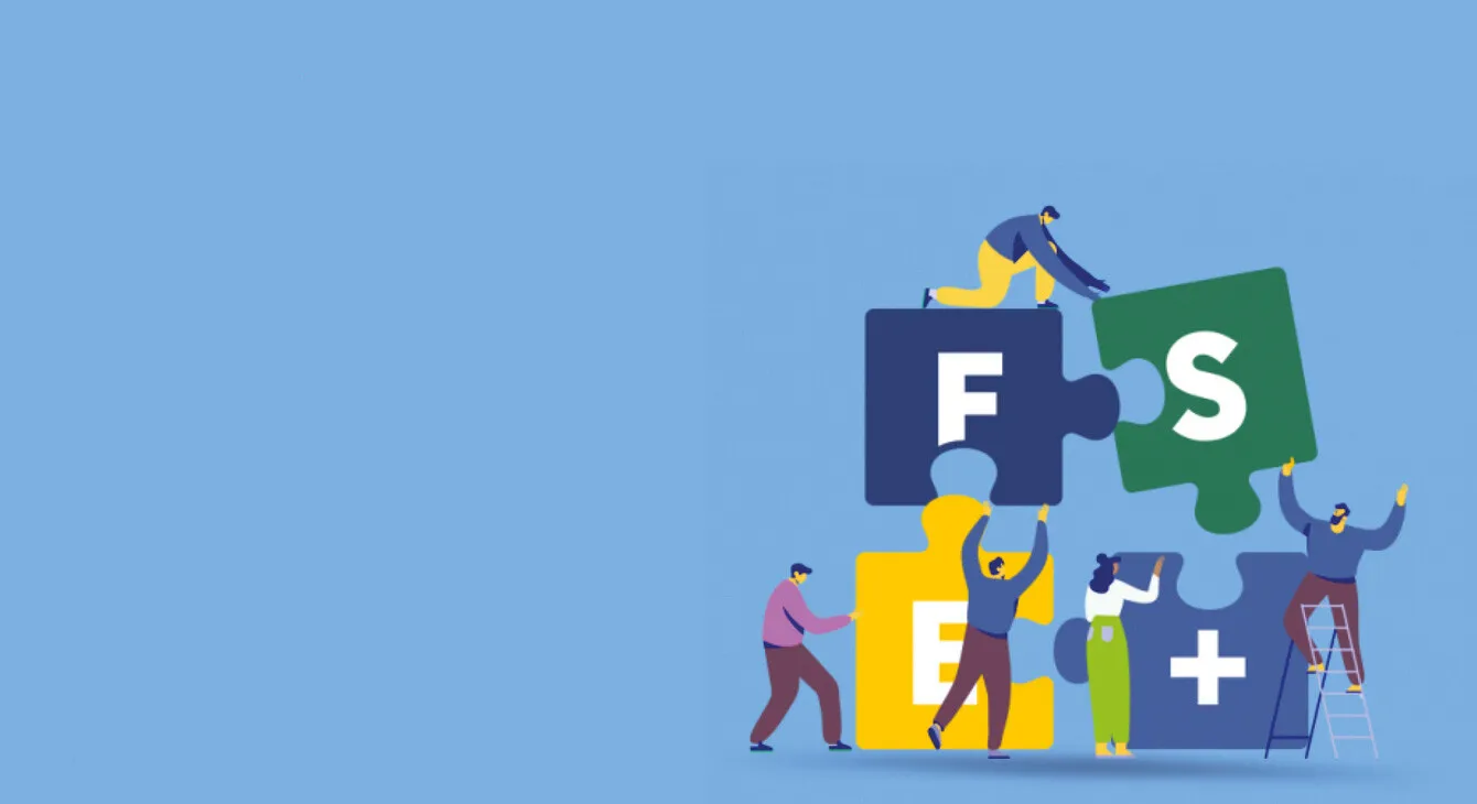 FSE+ formation commerciale